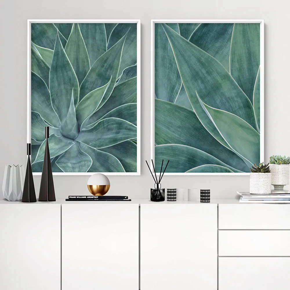 Agave Detail I - Art Print