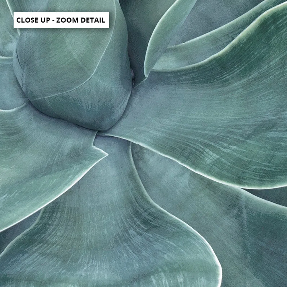 Agave Detail I - Art Print
