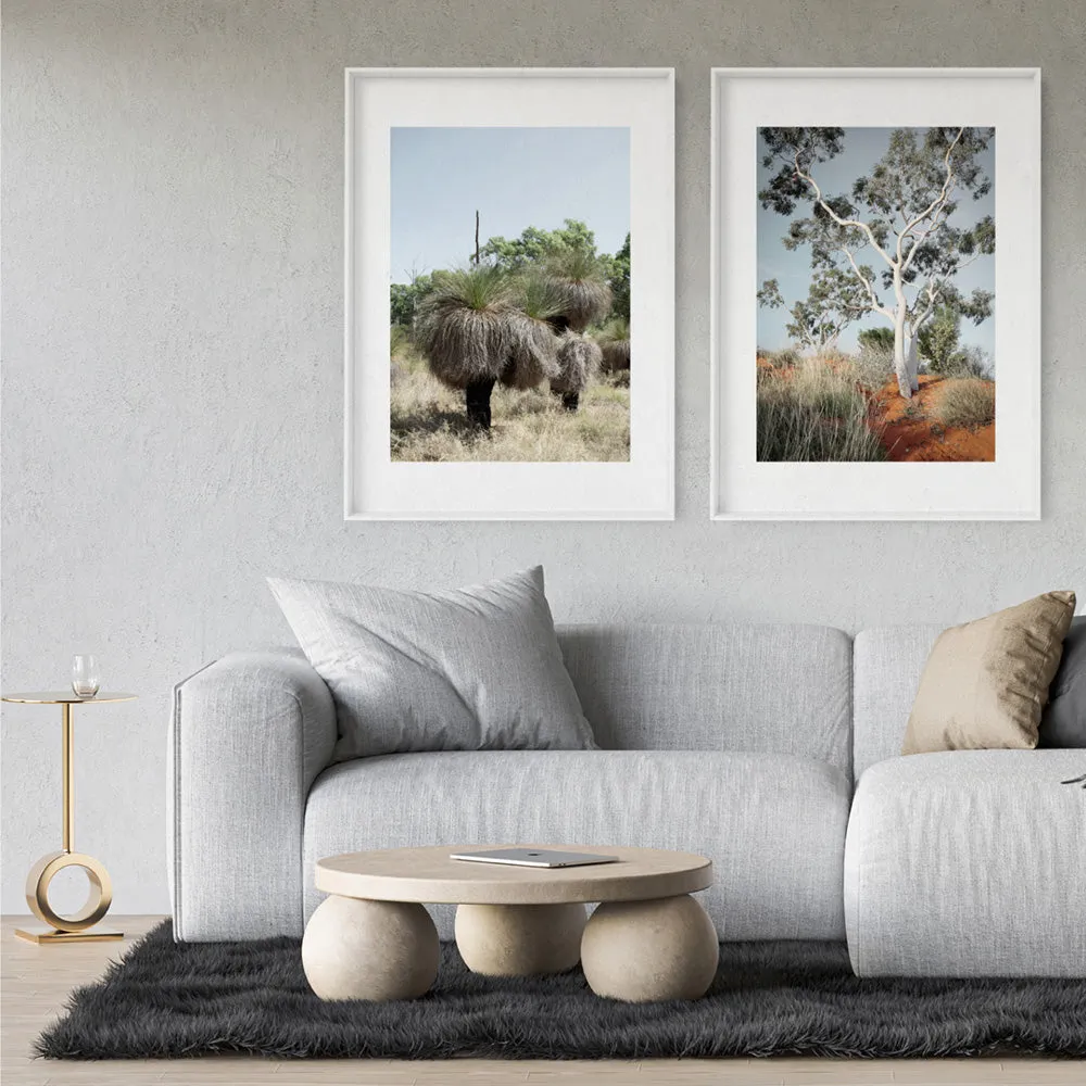 Australian Bush Grass Trees II - Art Print