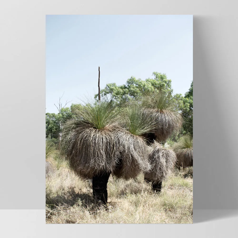 Australian Bush Grass Trees II - Art Print