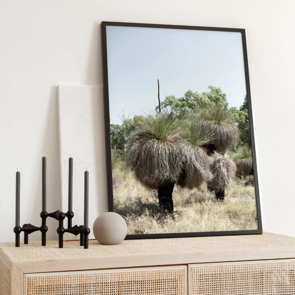 Australian Bush Grass Trees II - Art Print