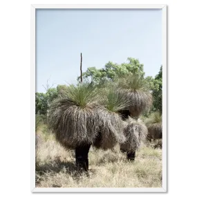 Australian Bush Grass Trees II - Art Print
