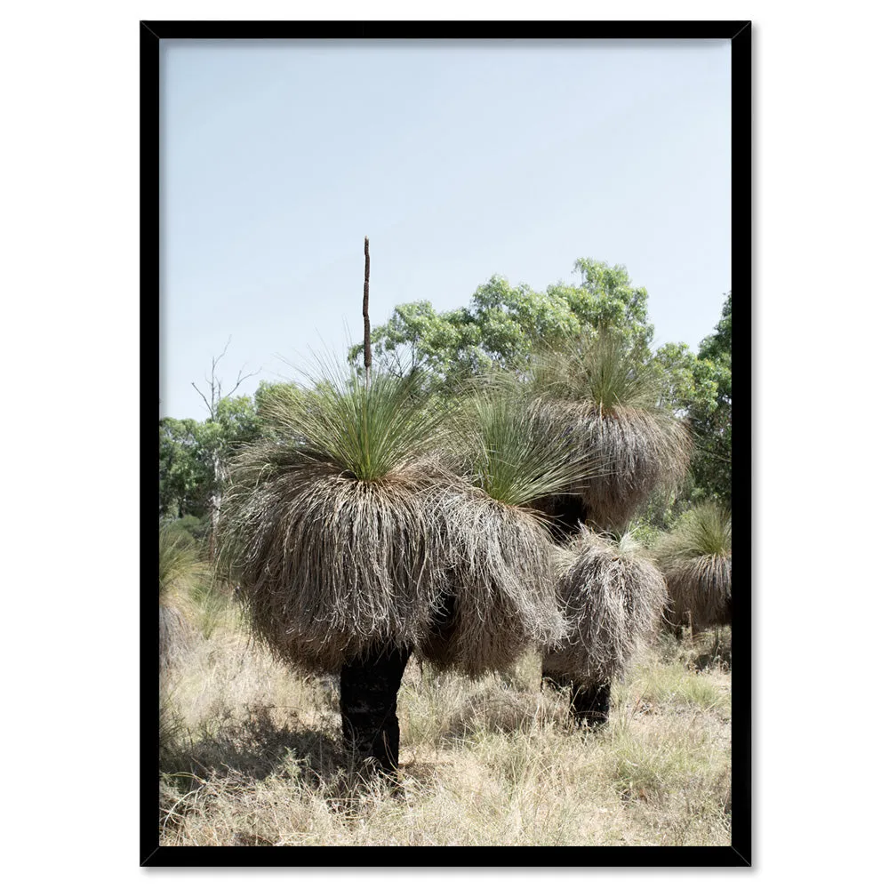 Australian Bush Grass Trees II - Art Print