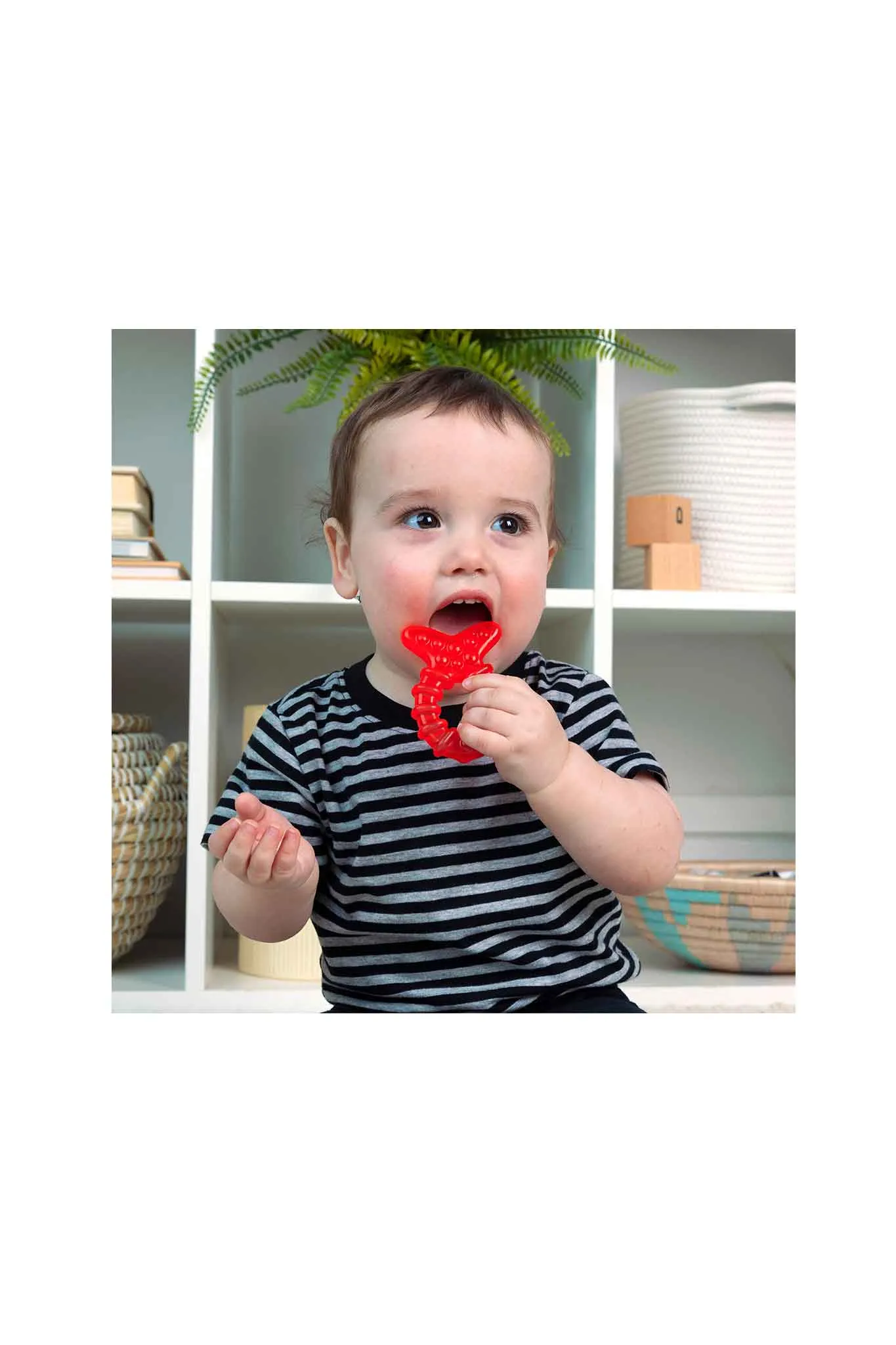 Baby Einstein Ocean Explorers Cool Critters Teether