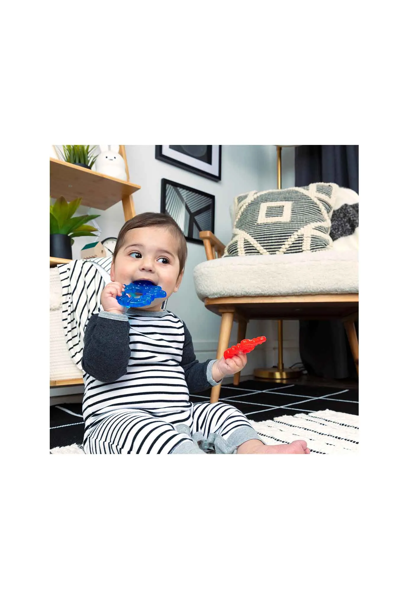 Baby Einstein Ocean Explorers Cool Critters Teether
