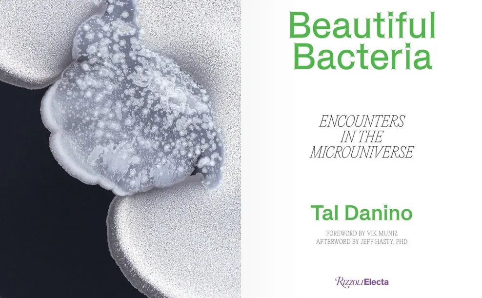 Beautiful Bacteria