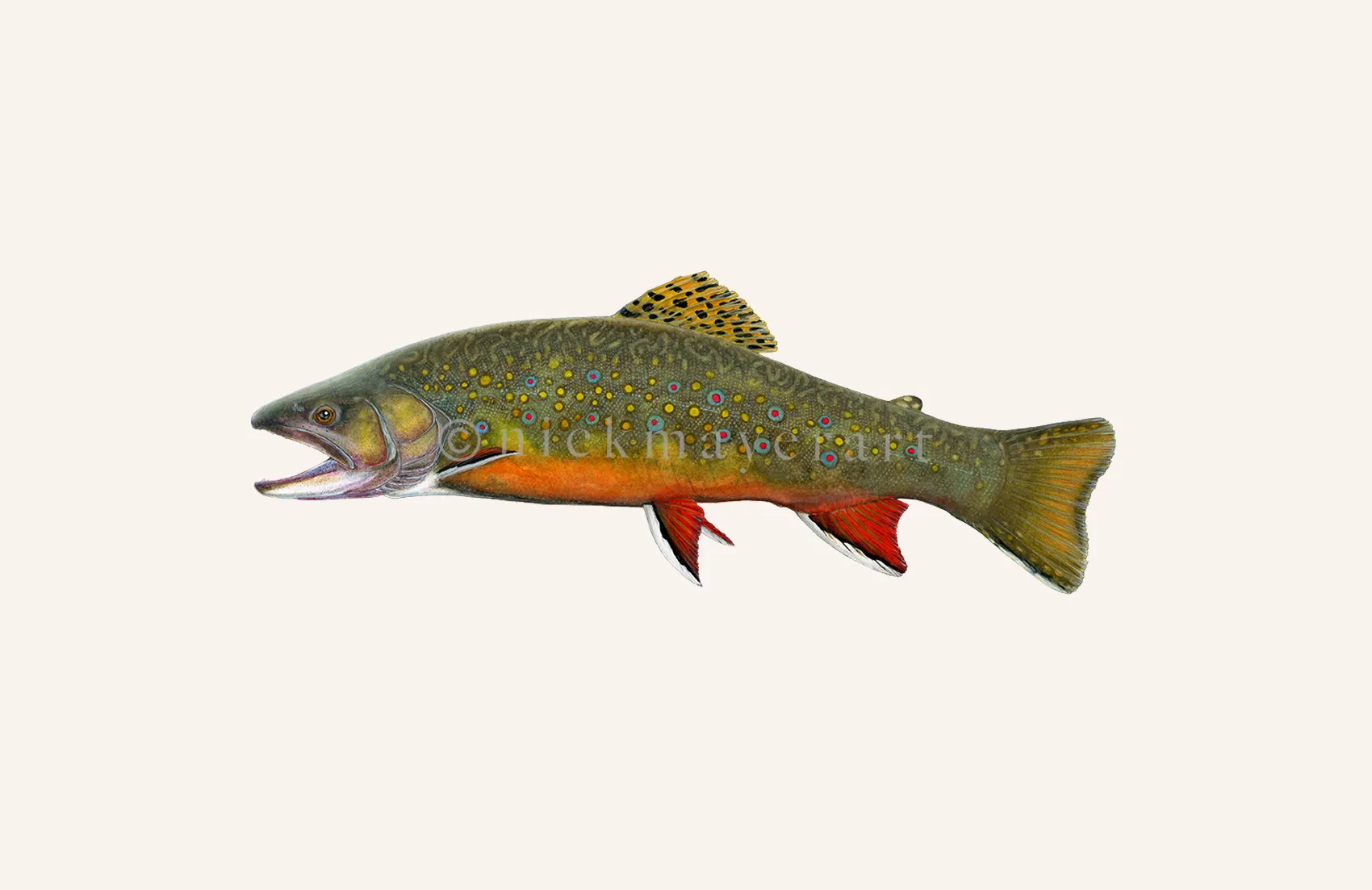 Beaver Pond Brook Trout Print - Best Seller