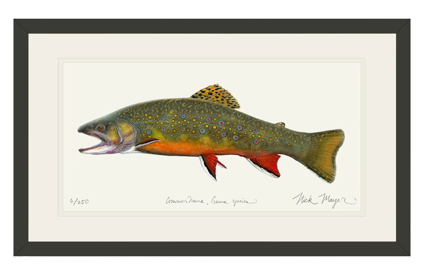 Beaver Pond Brook Trout Print - Best Seller