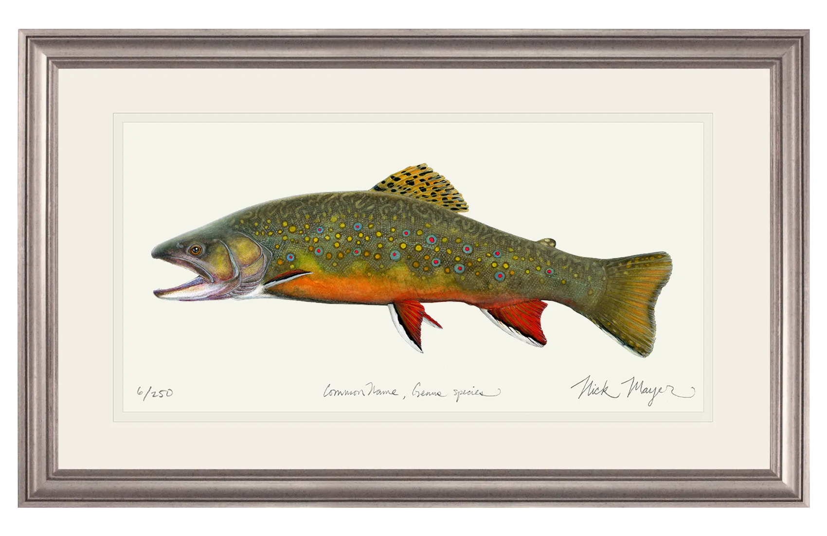 Beaver Pond Brook Trout Print - Best Seller