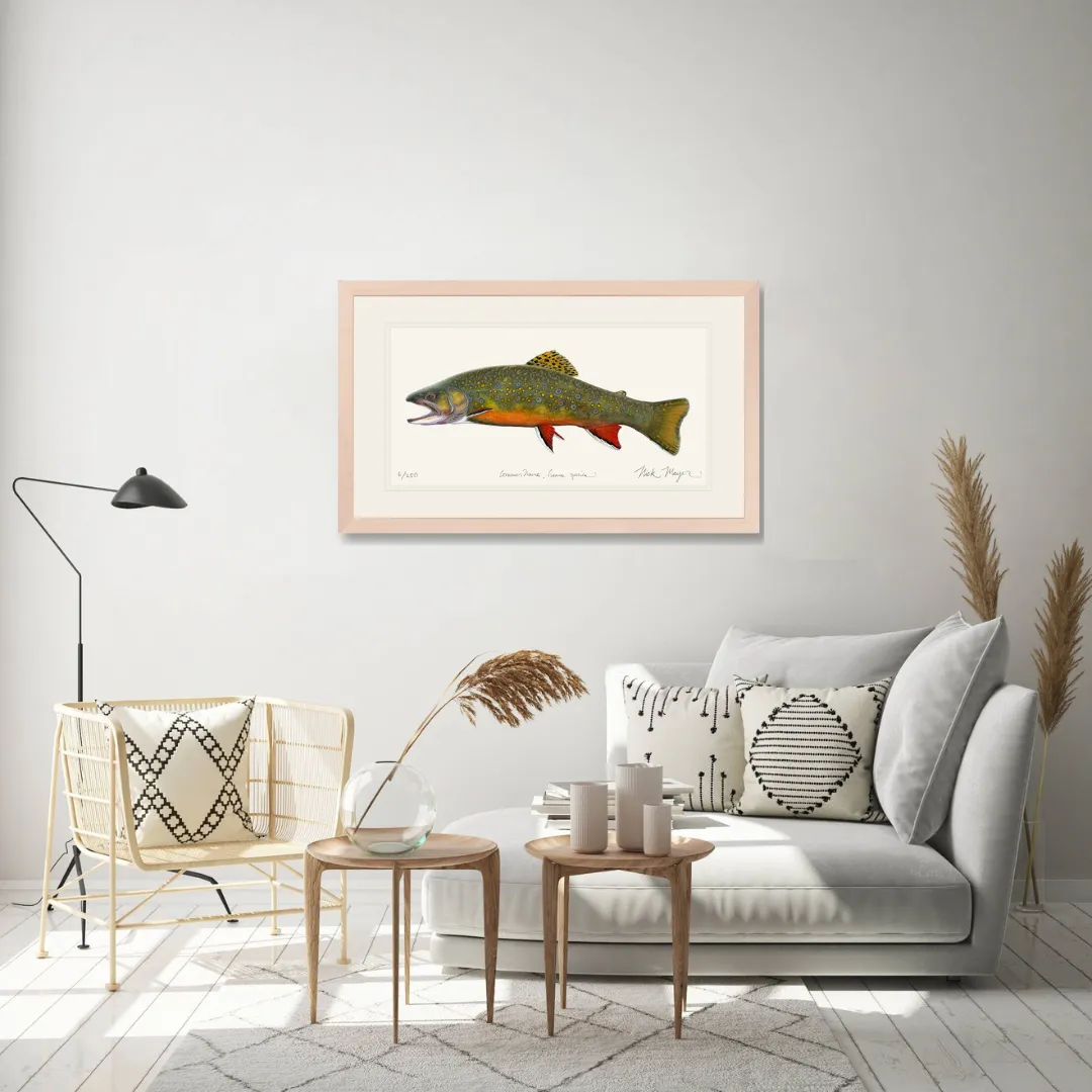 Beaver Pond Brook Trout Print - Best Seller
