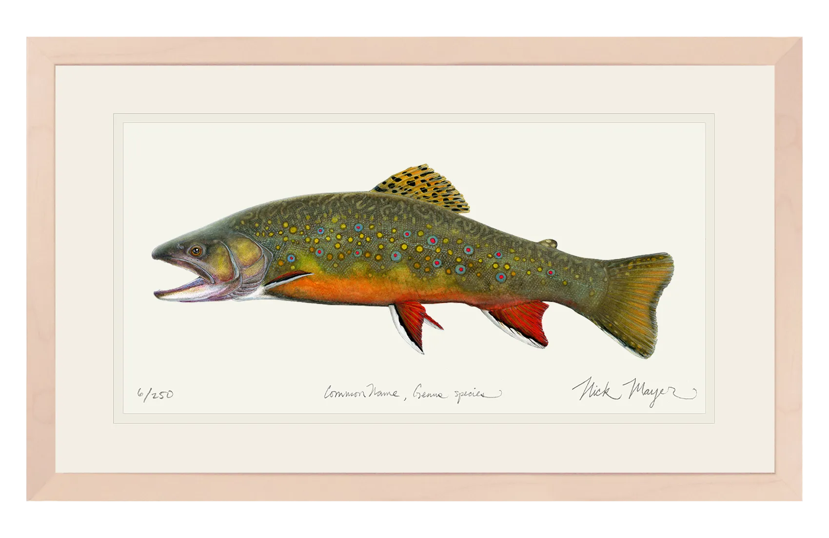 Beaver Pond Brook Trout Print - Best Seller