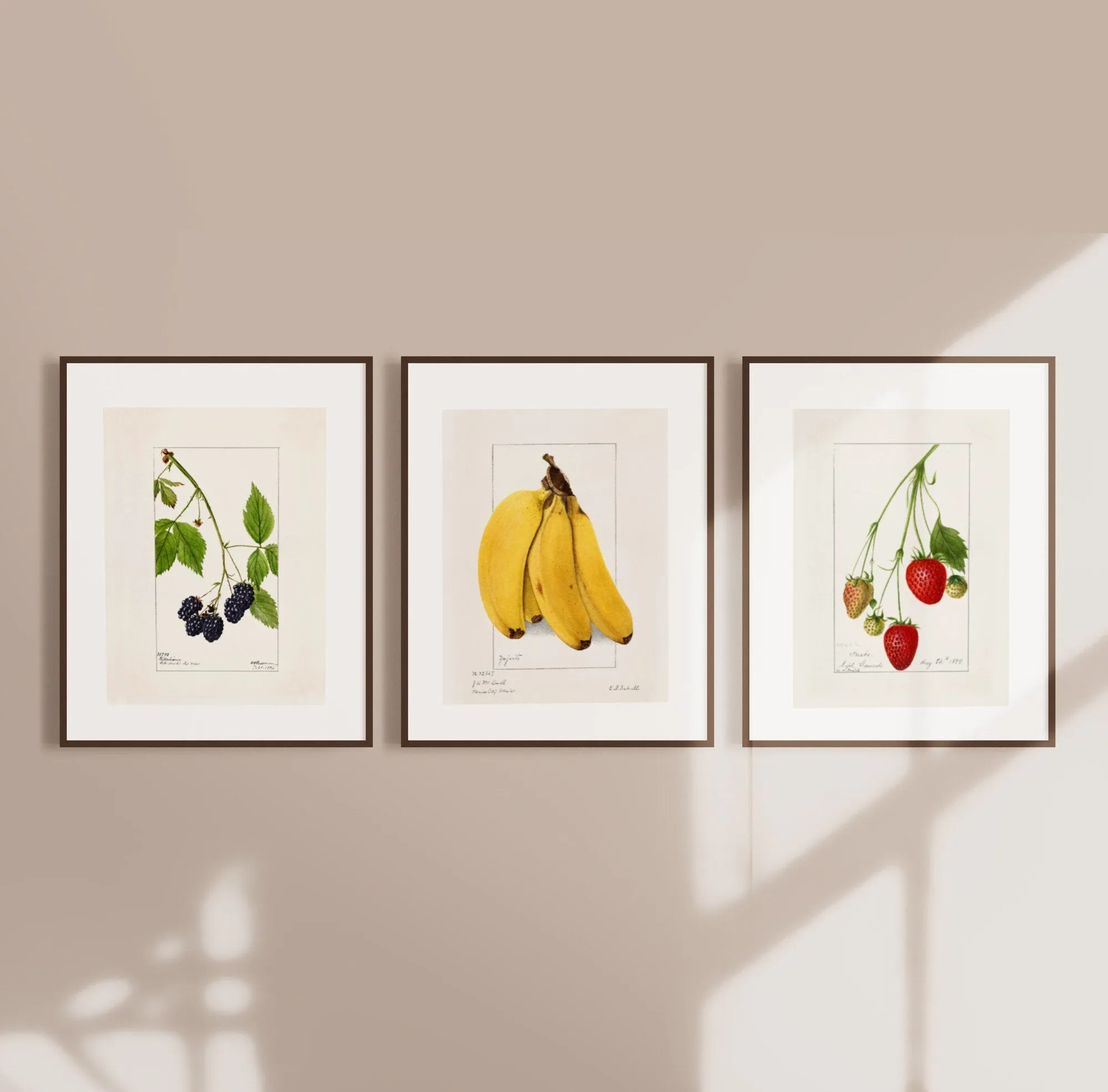 Berries and Banana - Set of Three Wall Art