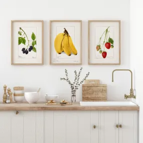 Berries and Banana - Set of Three Wall Art