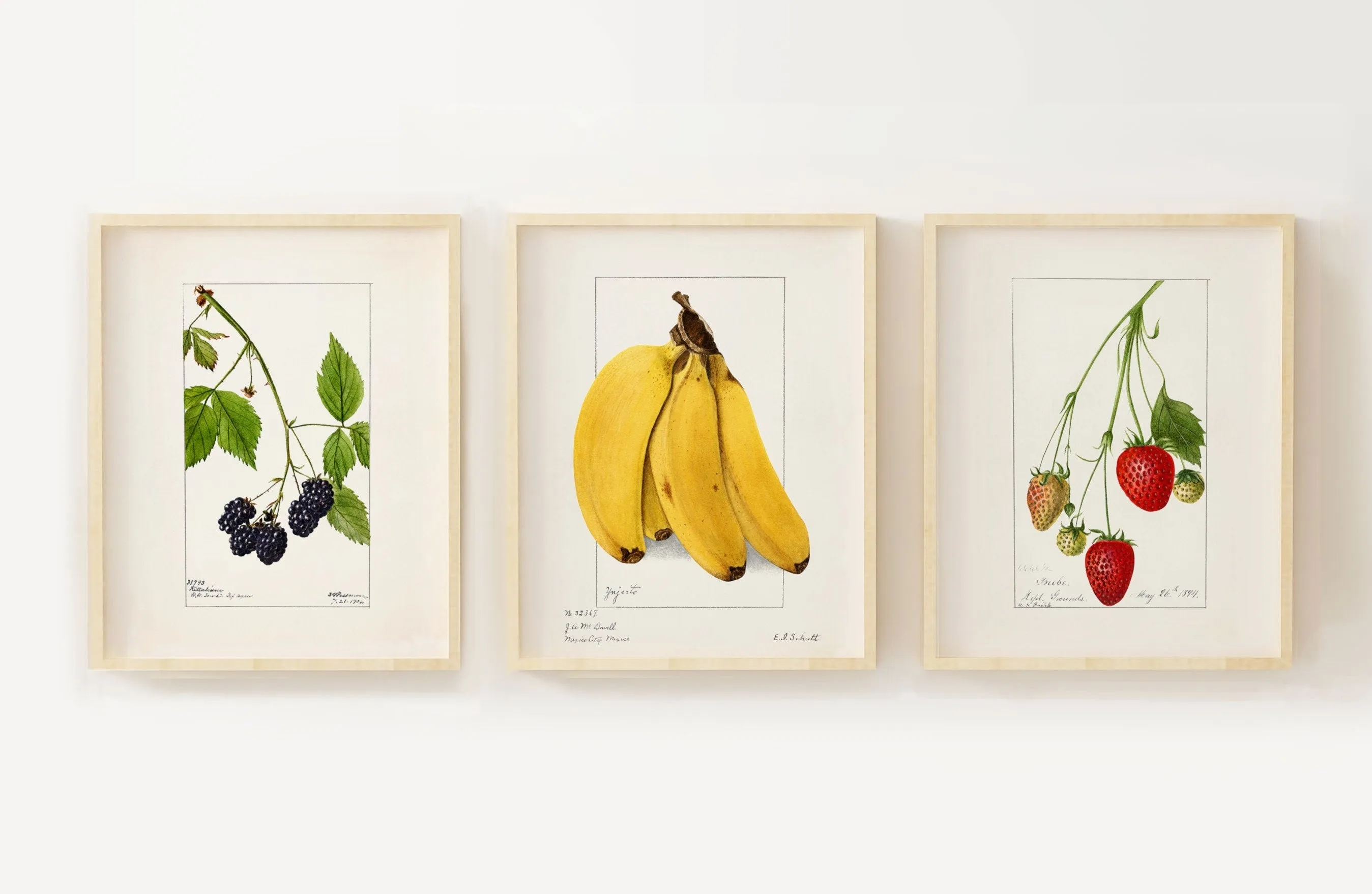 Berries and Banana - Set of Three Wall Art