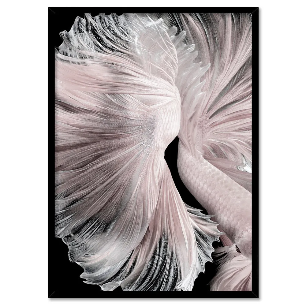 Betta Pair in Pale Pink & Black II - Art Print