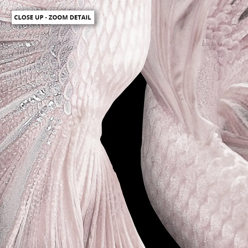 Betta Pair in Pale Pink & Black II - Art Print
