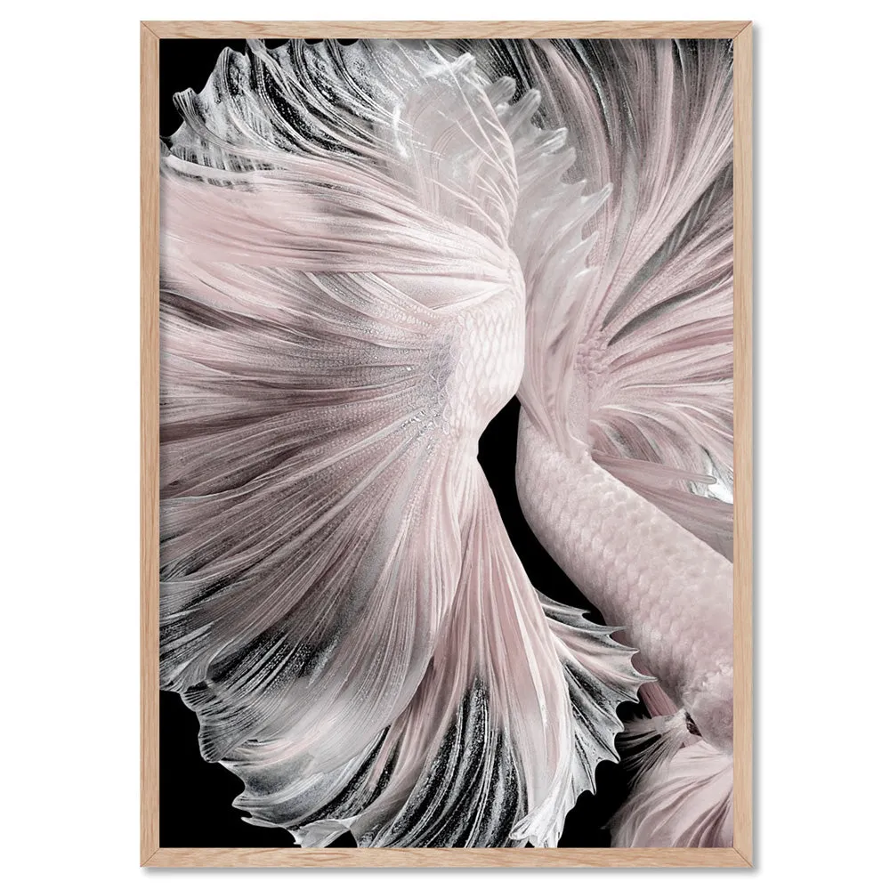 Betta Pair in Pale Pink & Black II - Art Print