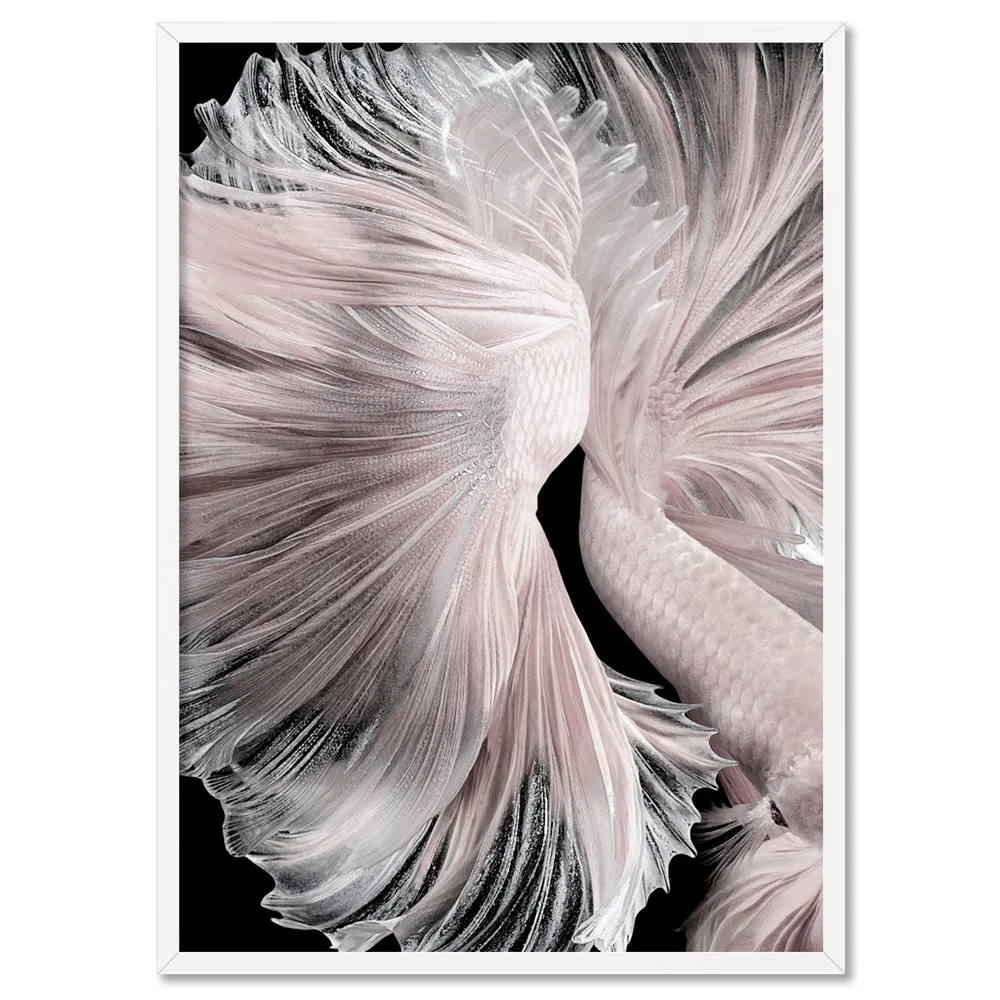 Betta Pair in Pale Pink & Black II - Art Print