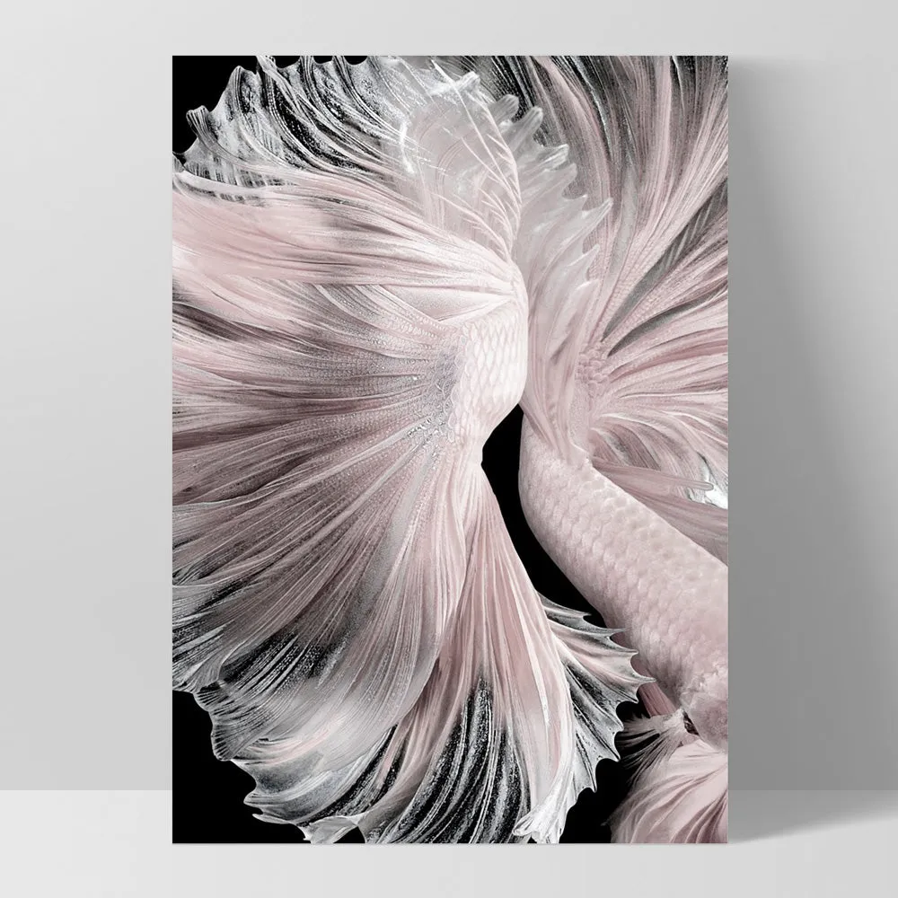 Betta Pair in Pale Pink & Black II - Art Print