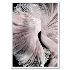 Betta Pair in Pale Pink & Black II - Art Print