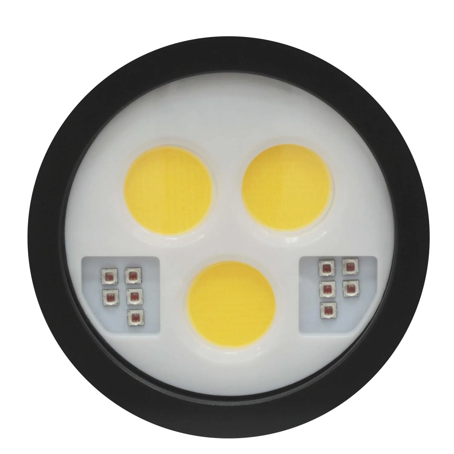 BigBlue 30,000 Lumen Warm White Video Light w/ Red Mode