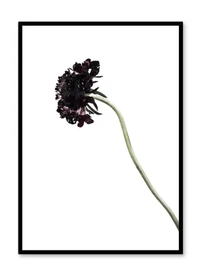 Black Knight, Poster