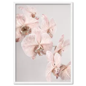 Blushing Orchid Blooms II - Art Print