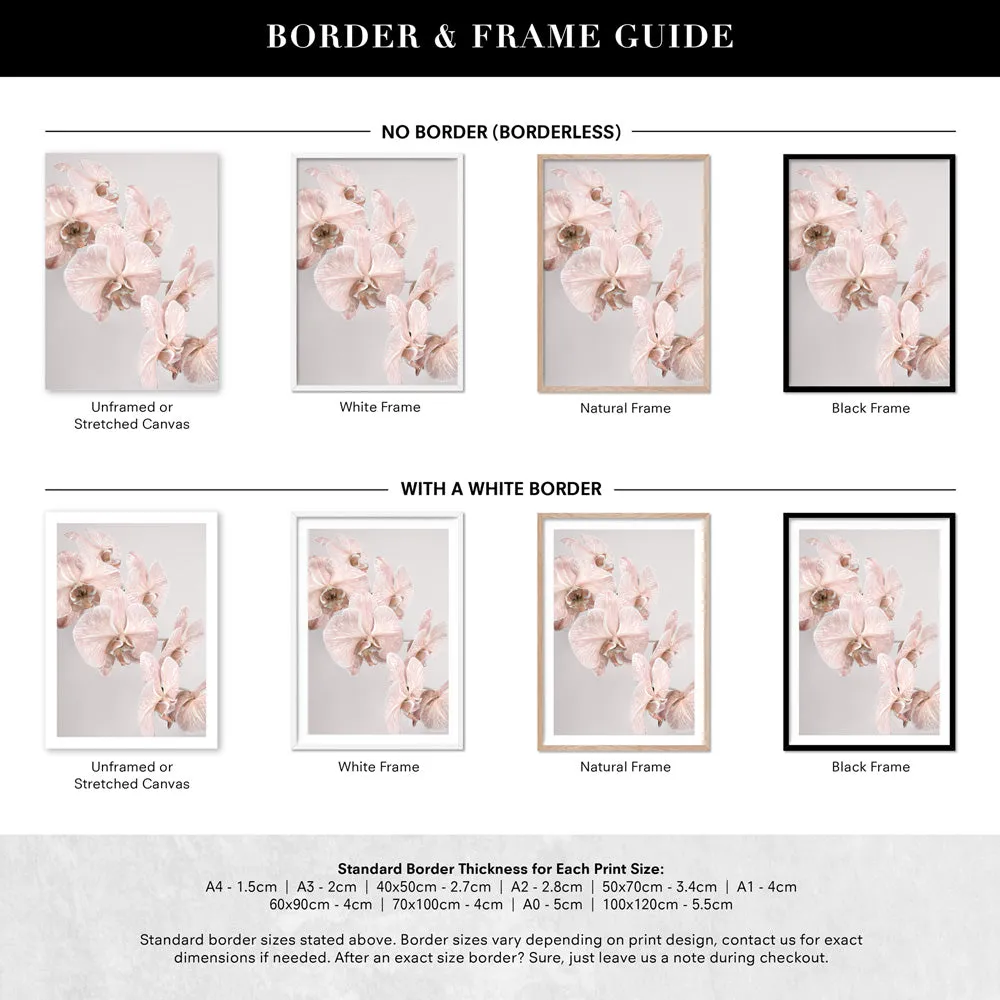 Blushing Orchid Blooms II - Art Print