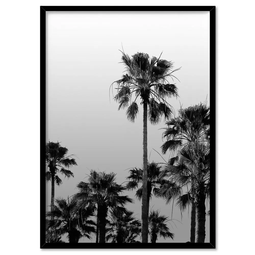 California Tropical Palms Black & White - Art Print