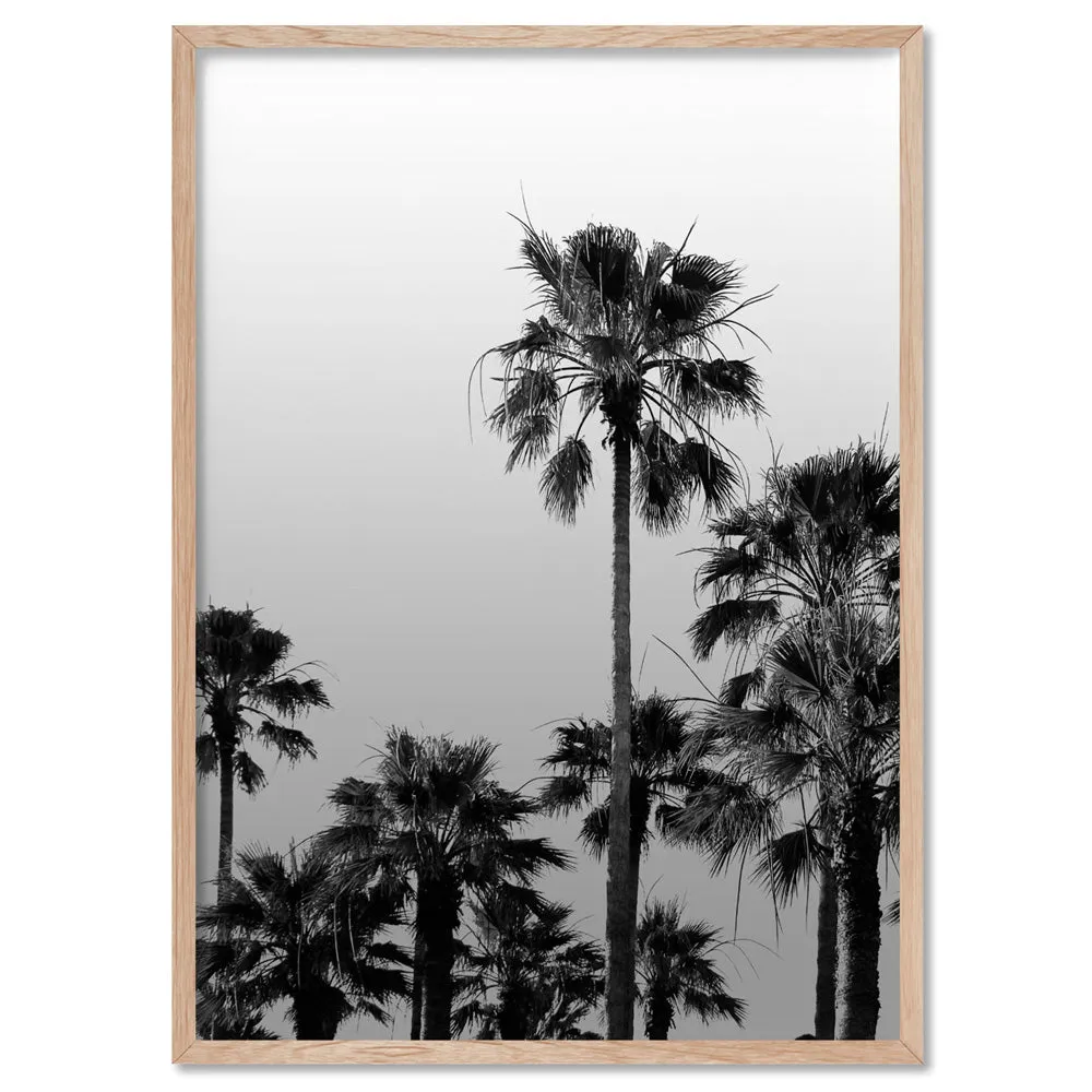 California Tropical Palms Black & White - Art Print