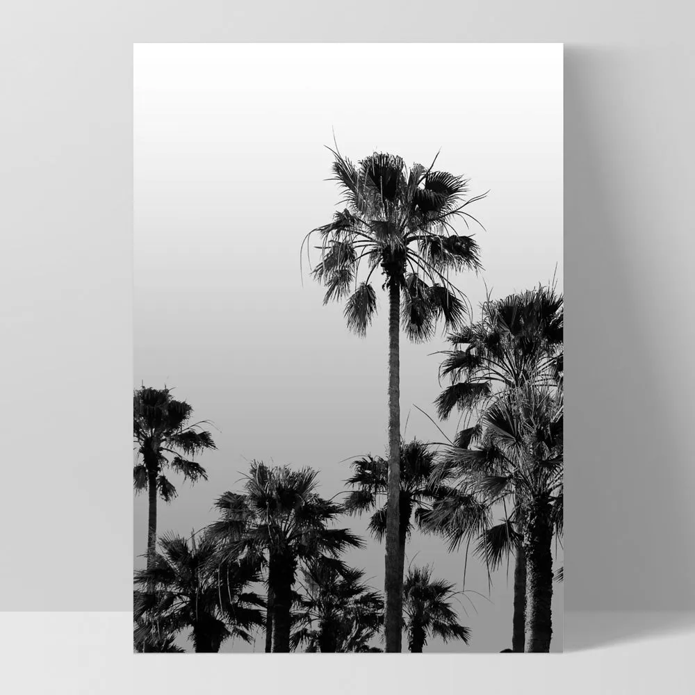 California Tropical Palms Black & White - Art Print