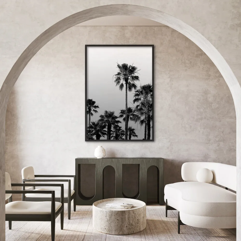 California Tropical Palms Black & White - Art Print