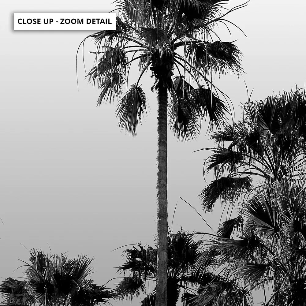 California Tropical Palms Black & White - Art Print