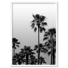 California Tropical Palms Black & White - Art Print