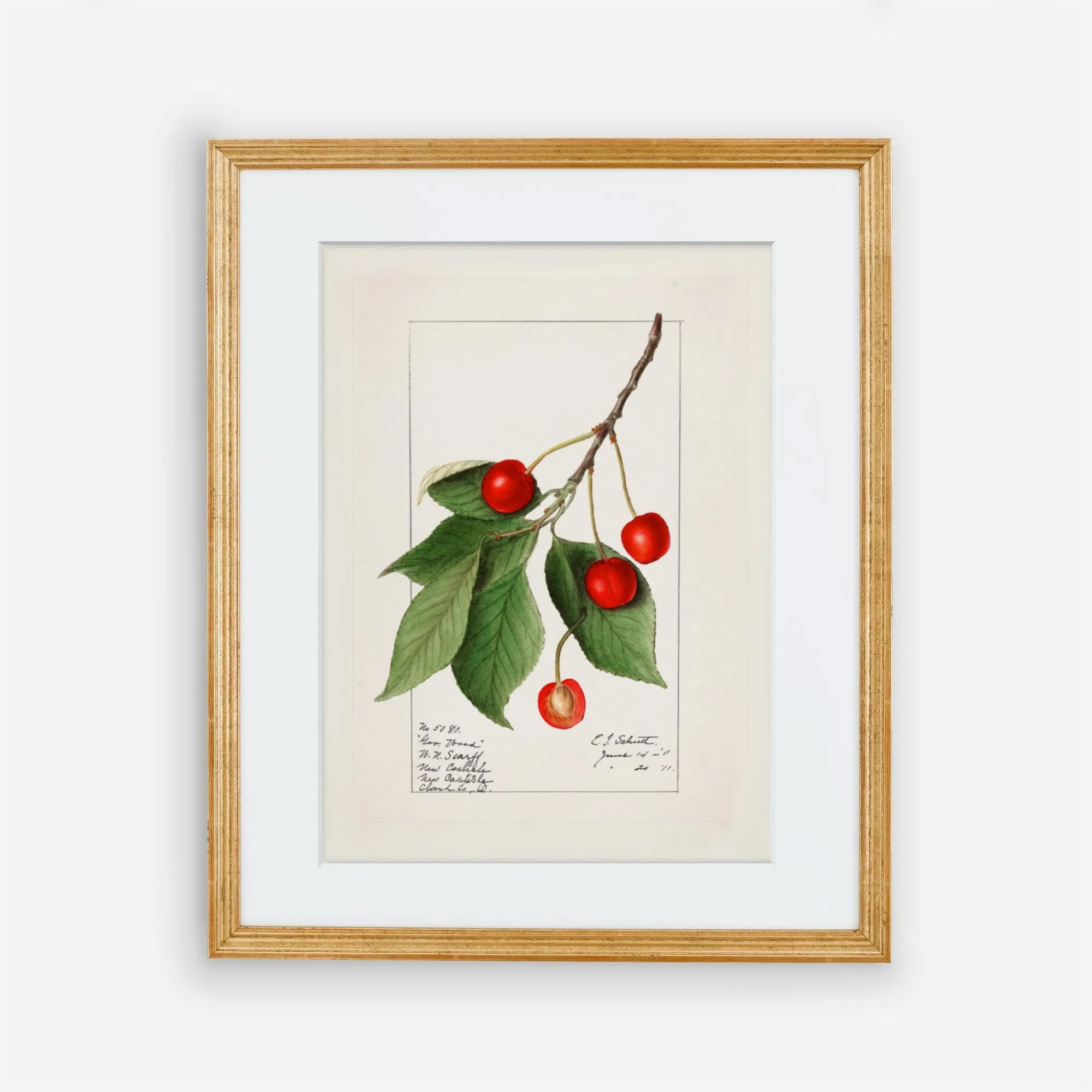 Cherries Kitchen Wall Art