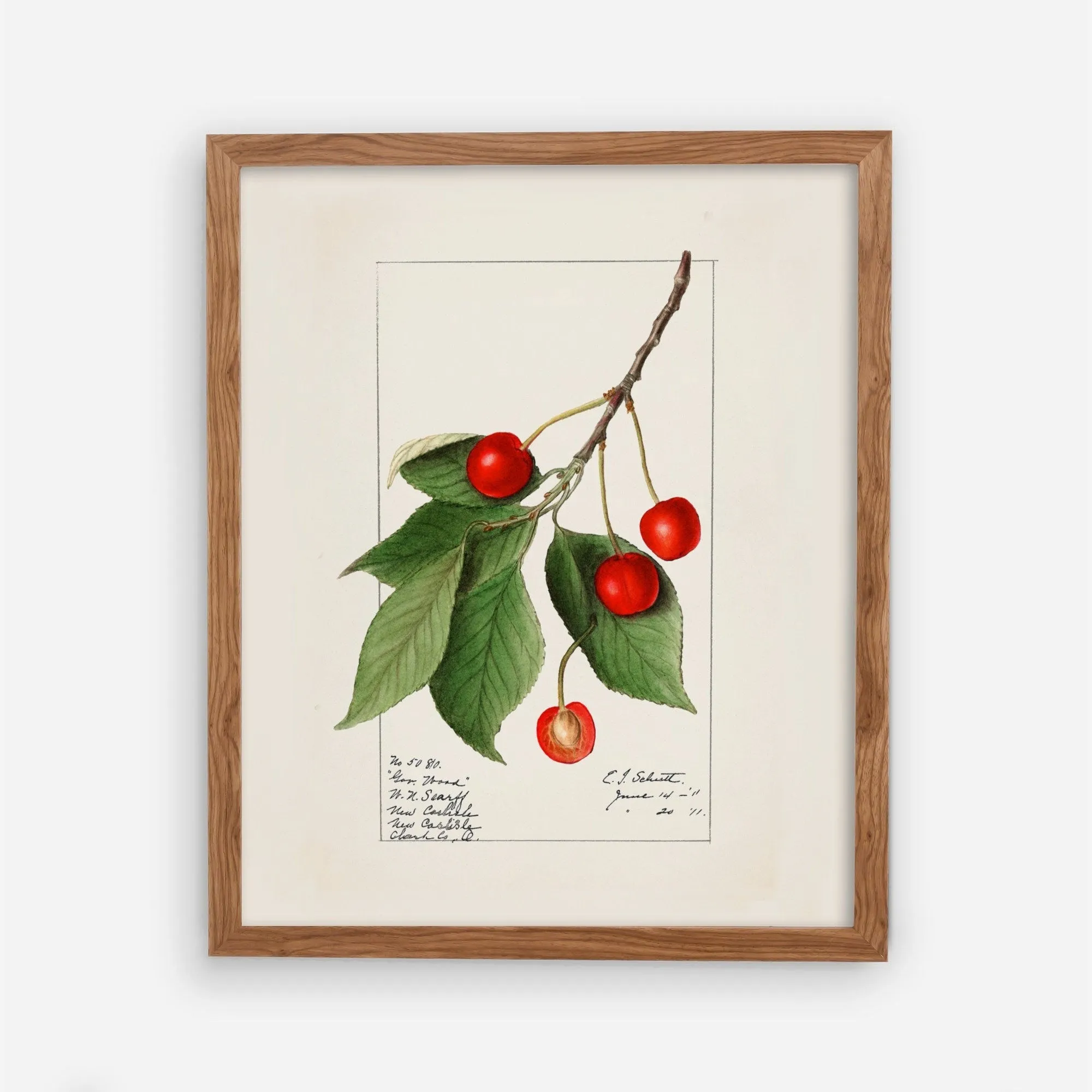 Cherries Kitchen Wall Art