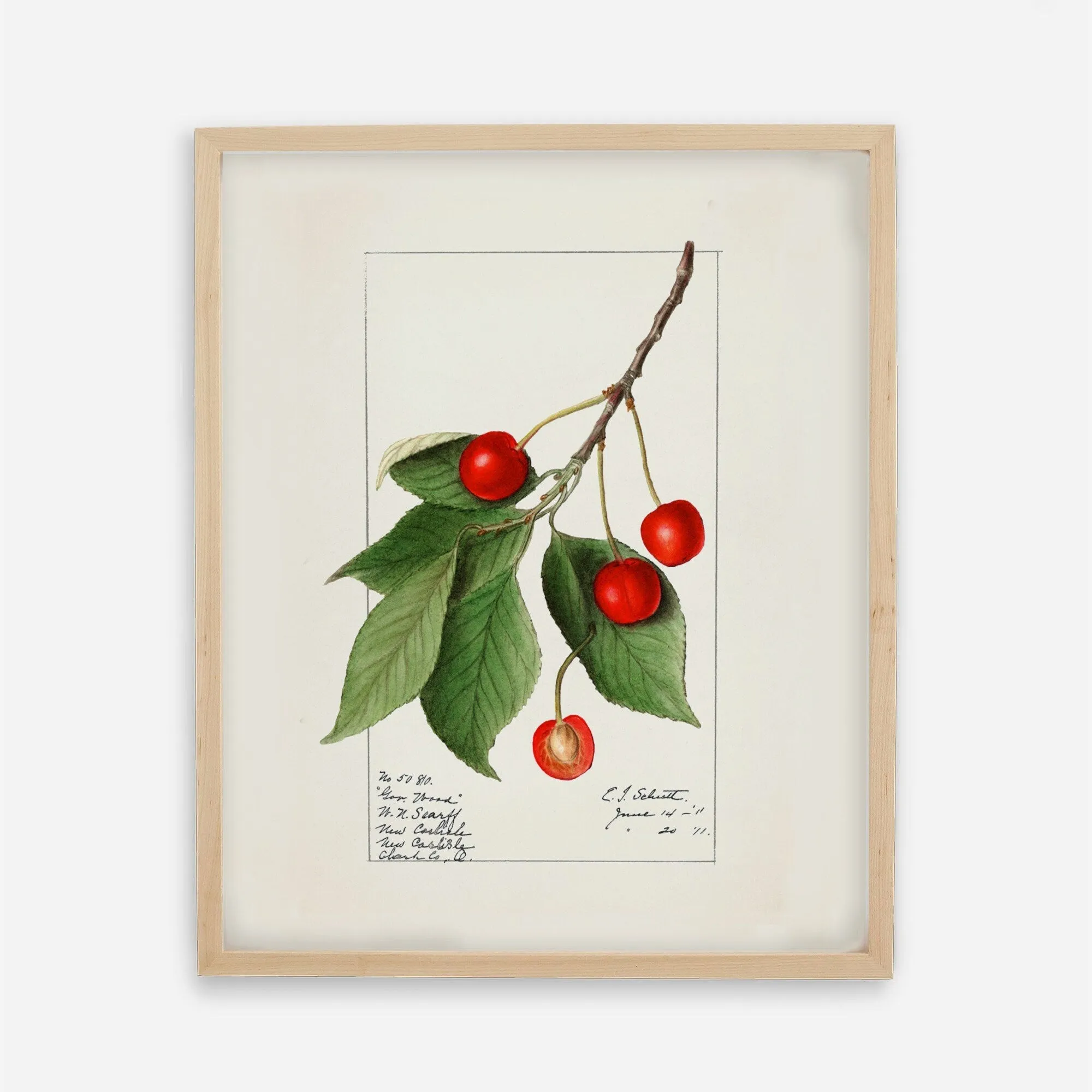 Cherries Kitchen Wall Art