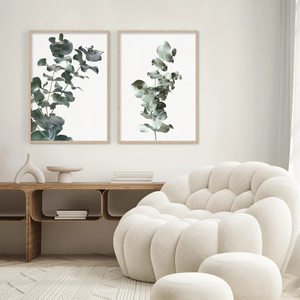 Eucalyptus Gum Leaves III  - Art Print
