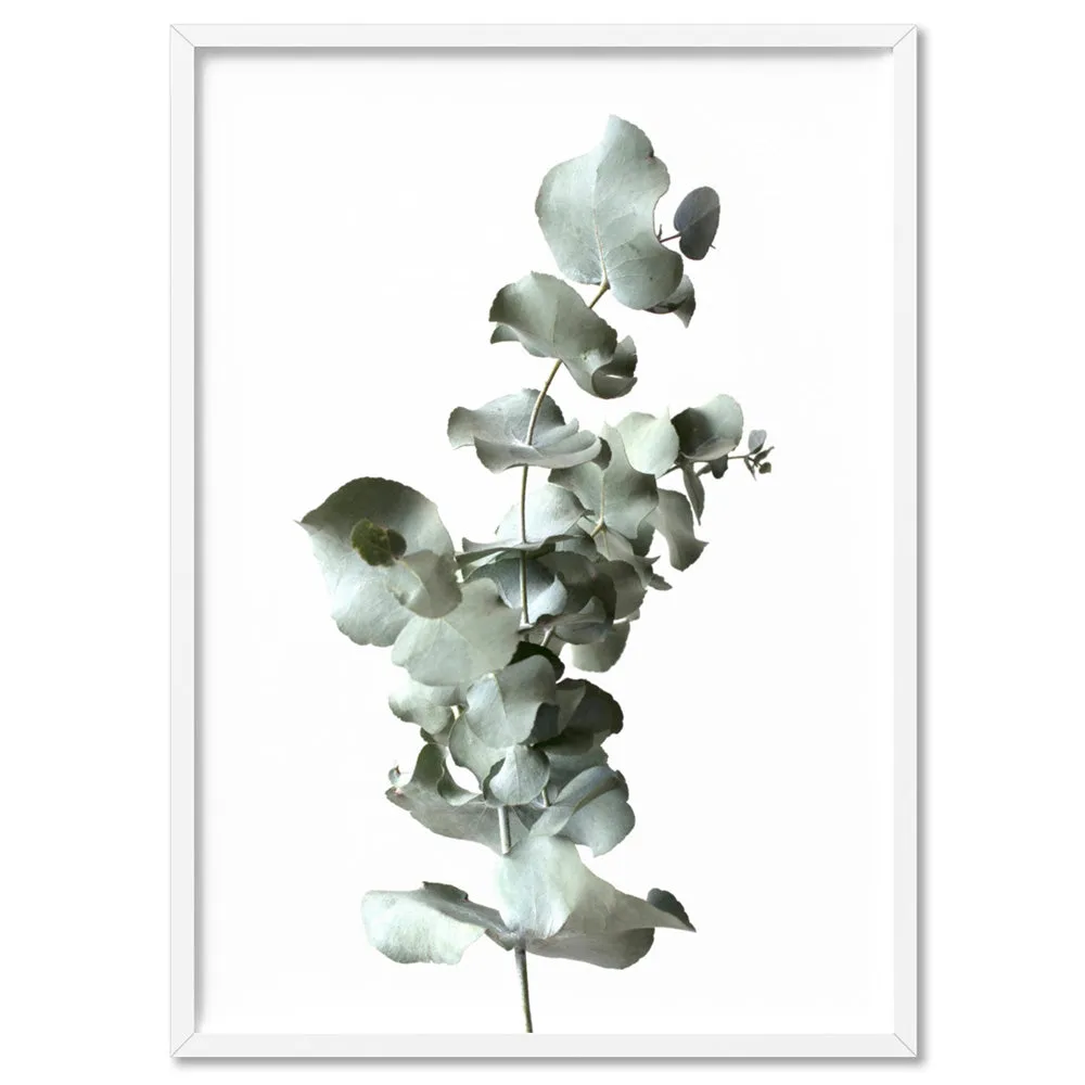 Eucalyptus Gum Leaves III  - Art Print
