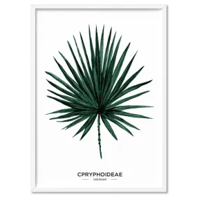 Fan Palm Scandi Leaf Watercolour (dark green) - Art Print