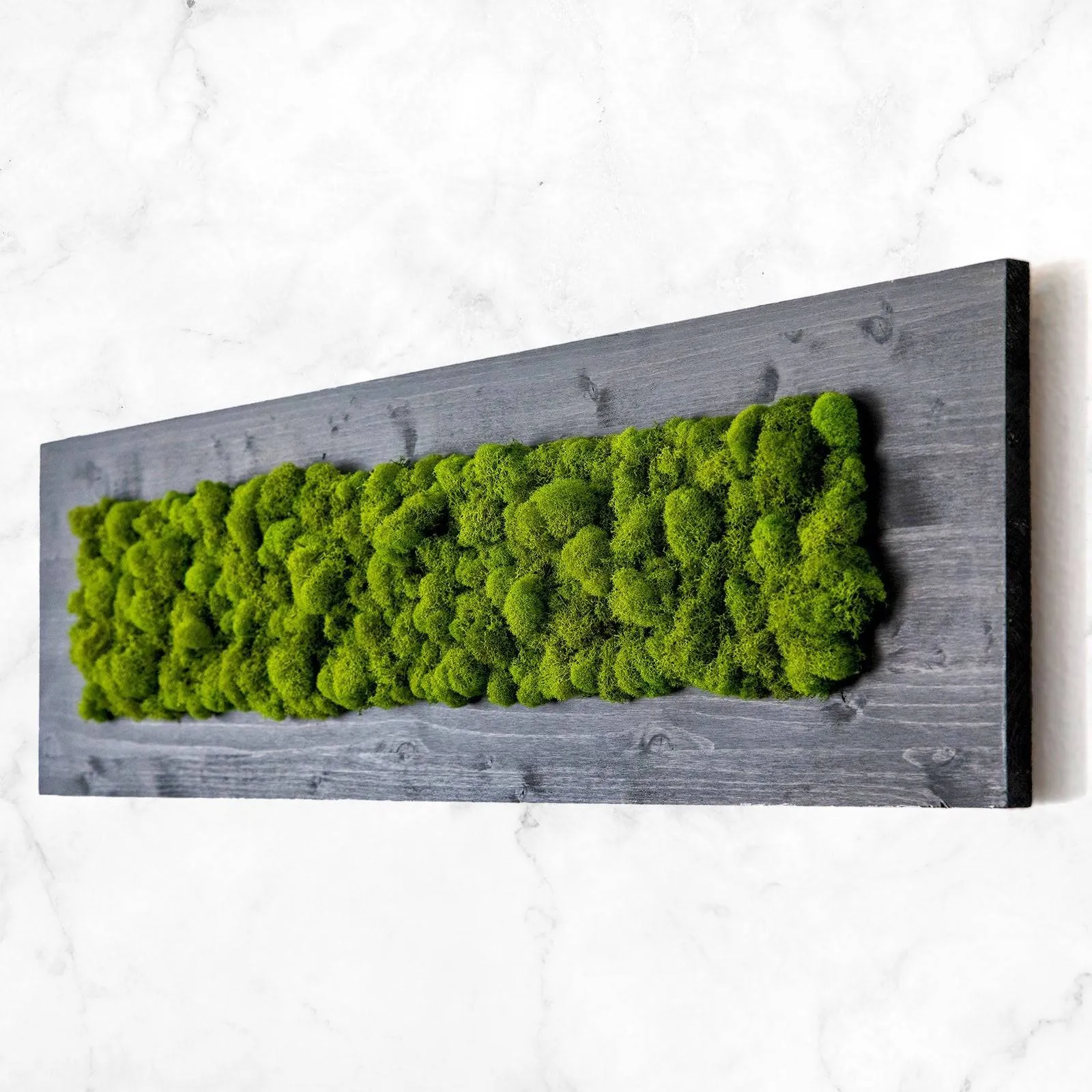 Finished Wood Moss Wall Decor