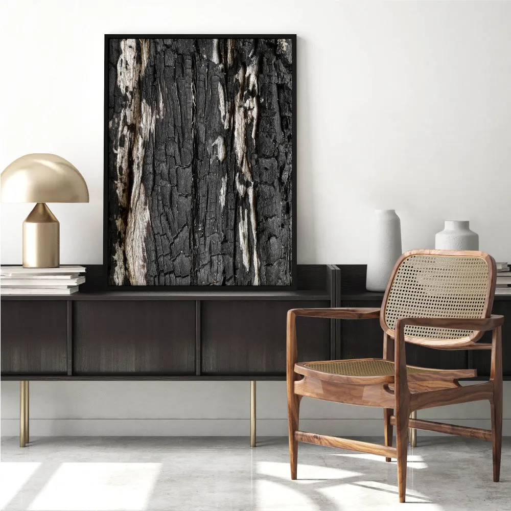 Gumtree | Charred Eucalypt IV - Art Print