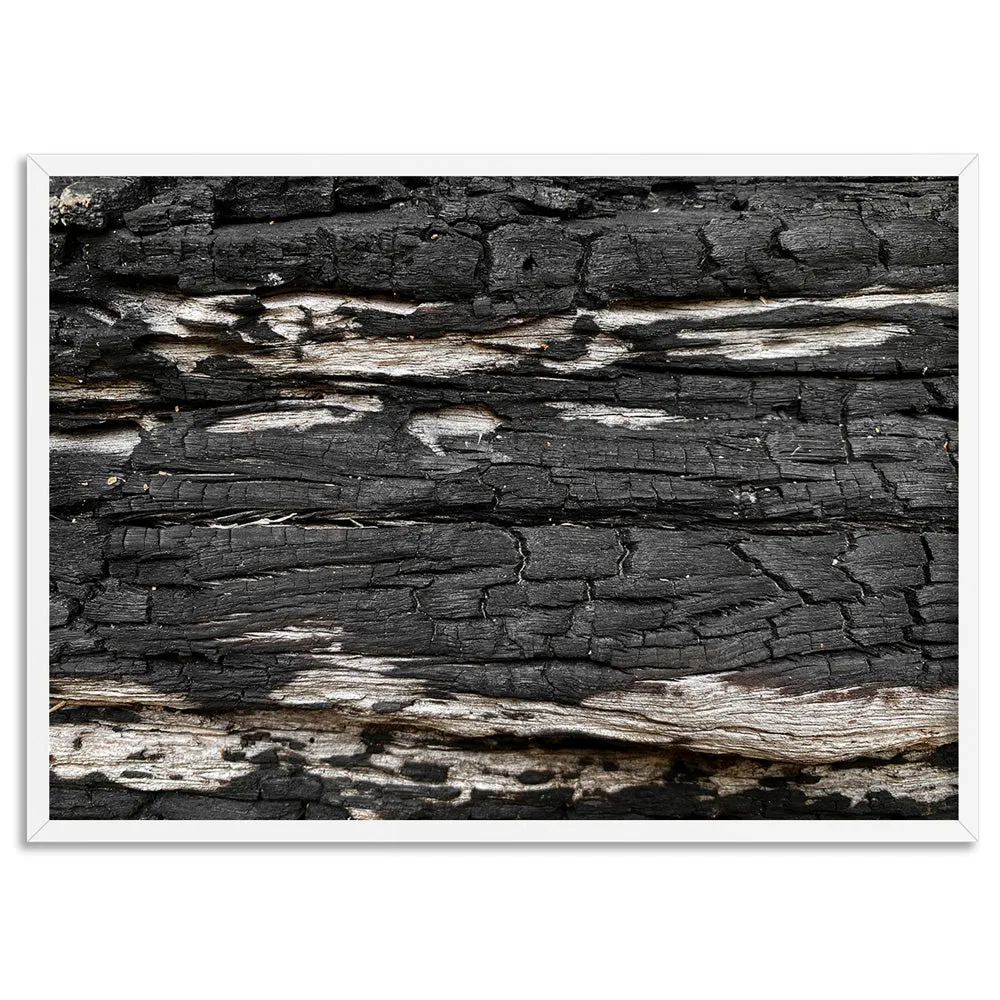 Gumtree | Charred Eucalypt IV - Art Print