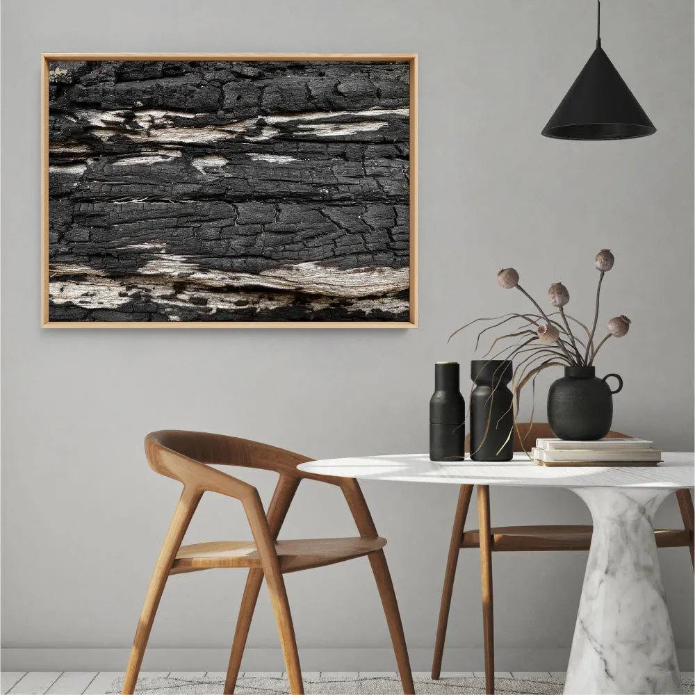 Gumtree | Charred Eucalypt IV - Art Print
