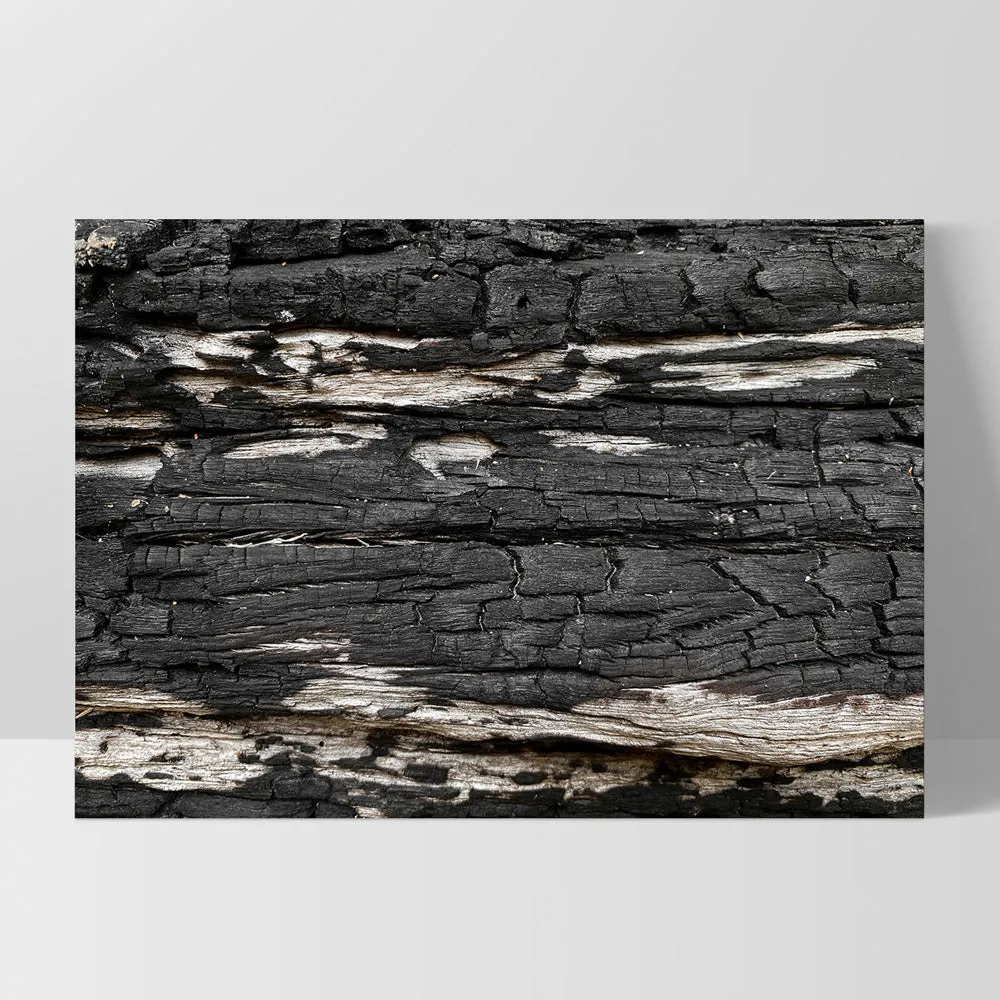 Gumtree | Charred Eucalypt IV - Art Print