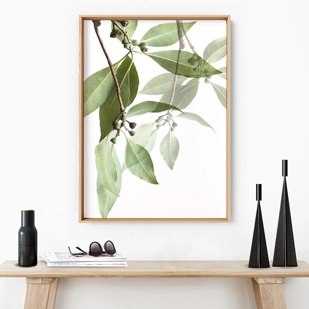 Gumtree Eucalyptus Leaves I - Art Print
