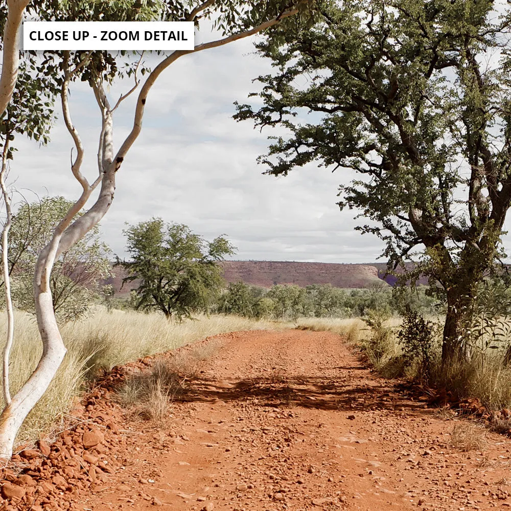 Gumtree Outback Road - Art Print