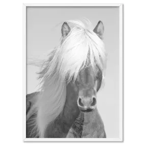Horse Portrait in Black & White - Art Print