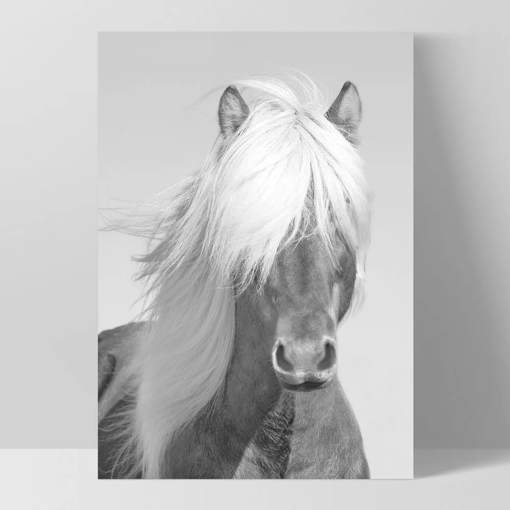 Horse Portrait in Black & White - Art Print