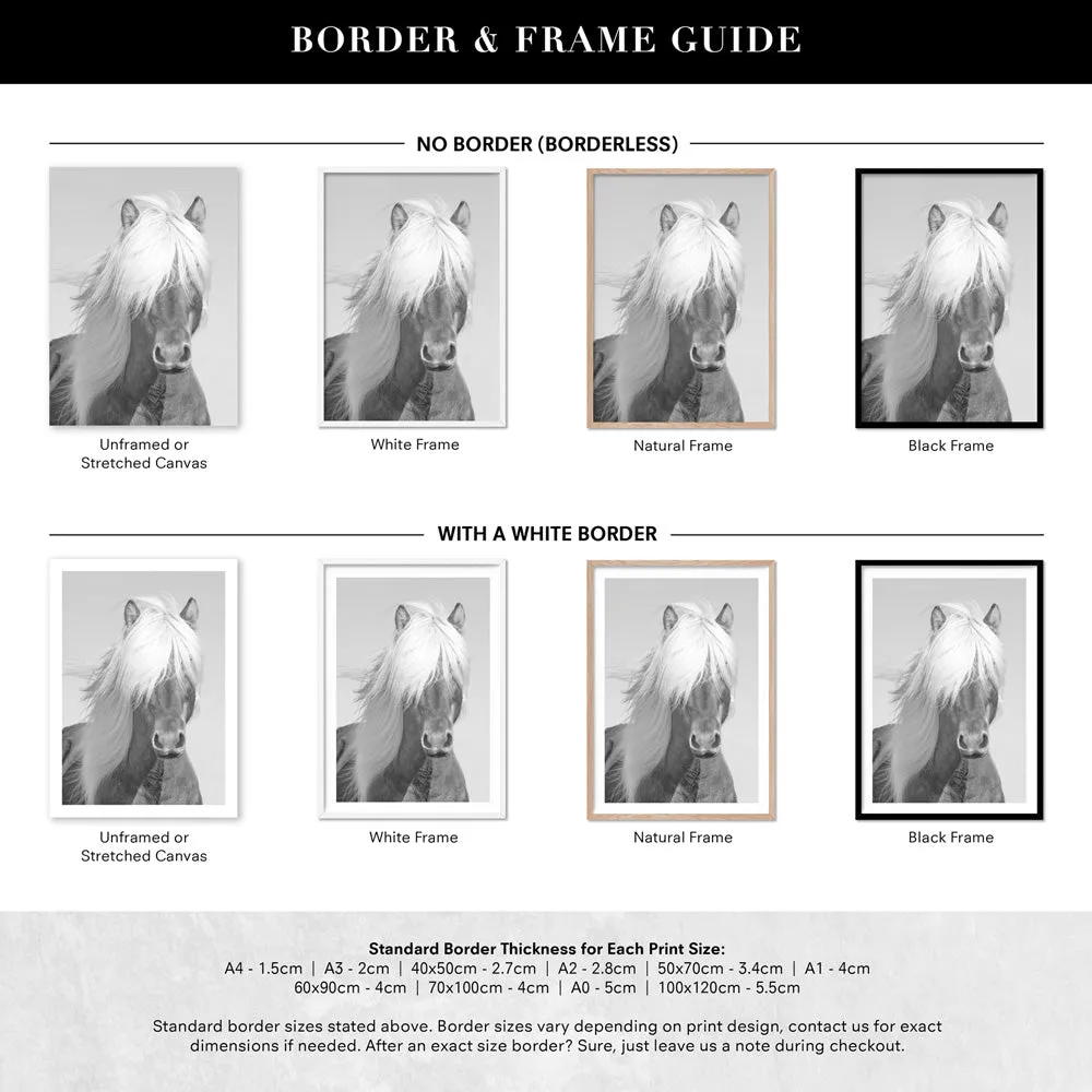 Horse Portrait in Black & White - Art Print